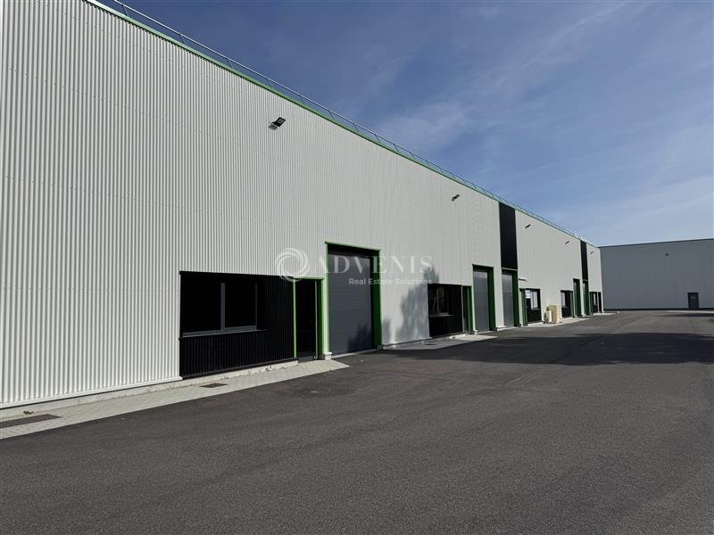ADVENIS CONSEIL STRASBOURG LOCATION-LOCAL D'ACTIVITE-BRUMATH-67