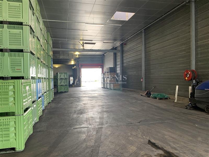 ADVENIS CONSEIL LE MANS VENTE-ENTREPOT-ECOUFLANT-49