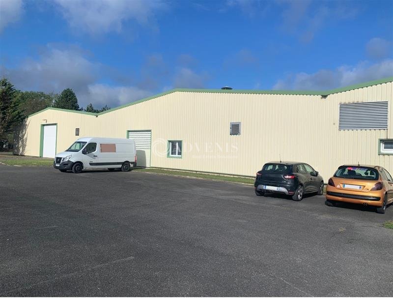 ADVENIS CONSEIL BOURGES LOCATION-LOCAL D'ACTIVITE-MEREAU-18
