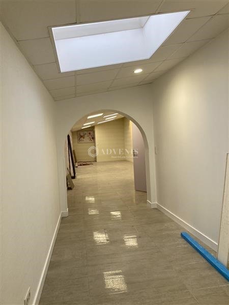 ADVENIS CONSEIL LE MANS LOCATION-BUREAUX-LE_MANS-72