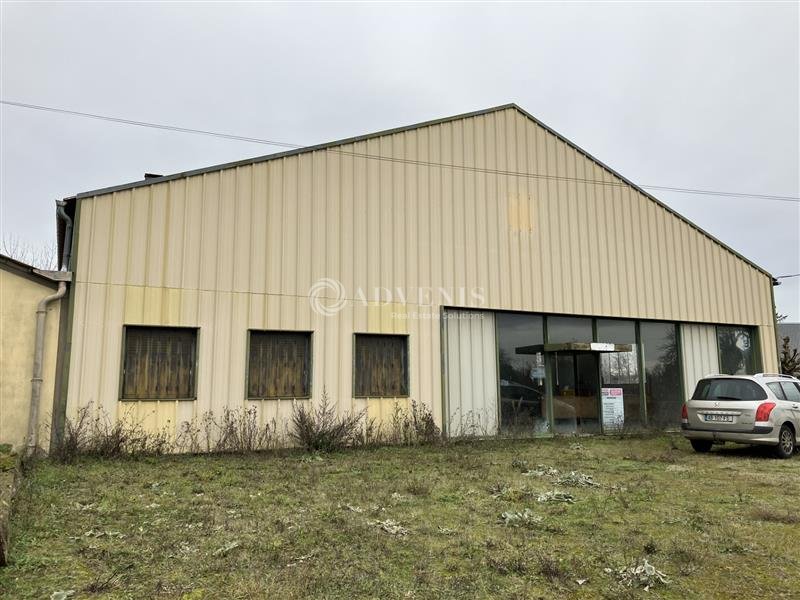 ADVENIS CONSEIL BOURGES LOCATION-LOCAL D'ACTIVITE-AZY-18