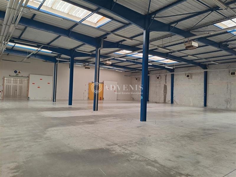 ADVENIS CONSEIL NANTES LOCATION-ENTREPOT-CARQUEFOU-44