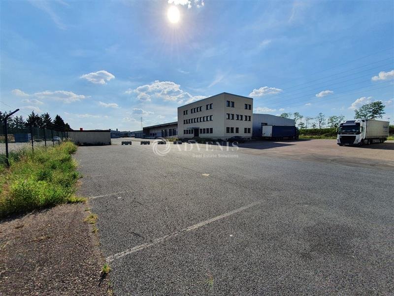 ADVENIS CONSEIL NANCY LOCATION-LOCAL D'ACTIVITE-FORBACH-57