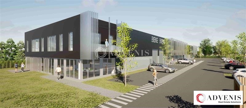 ADVENIS CONSEIL LILLE LOCATION-ENTREPOT-AVELIN-59