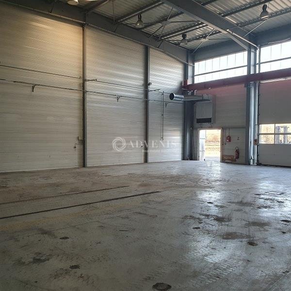 ADVENIS CONSEIL NANTES LOCATION-LOCAL D'ACTIVITE-MALVILLE-44