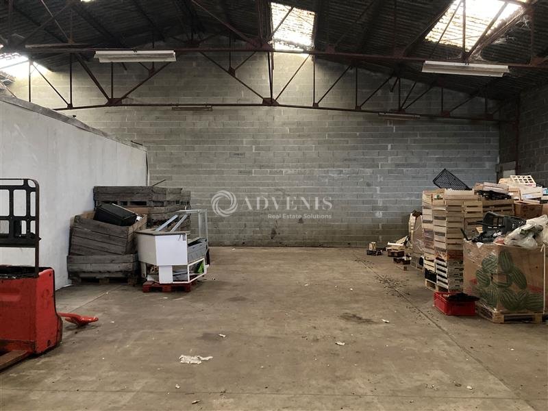 ADVENIS CONSEIL BLOIS LOCATION-LOCAL D'ACTIVITE-BLOIS-41