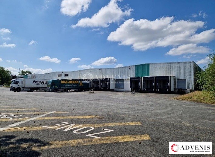 ADVENIS CONSEIL LILLE LOCATION-ENTREPOT-SECLIN-59