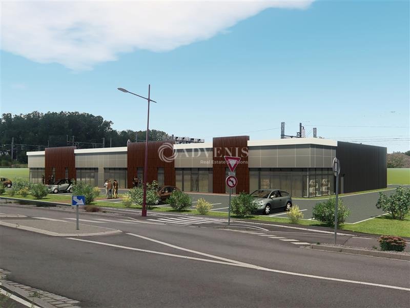 ADVENIS CONSEIL STRASBOURG LOCATION-LOCAL D'ACTIVITE-VENDENHEIM-67