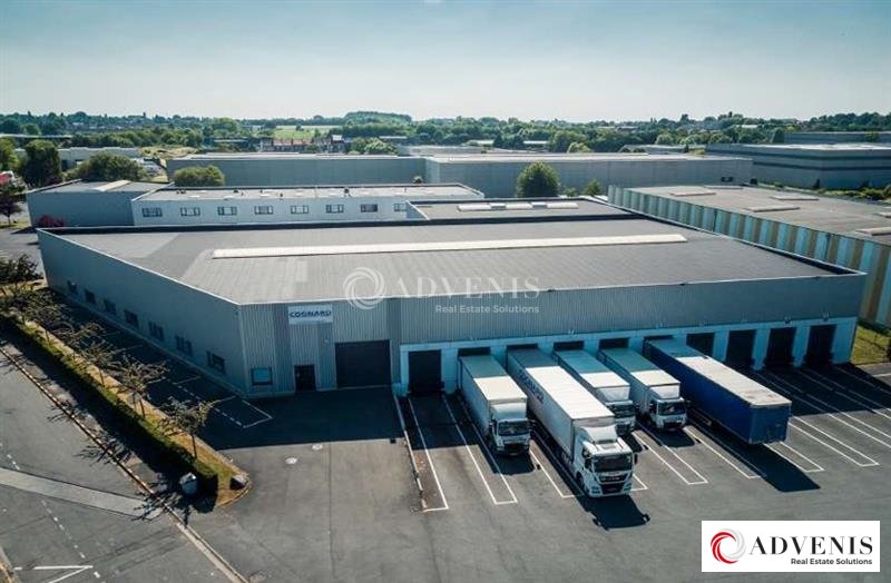 ADVENIS CONSEIL LILLE LOCATION-ENTREPOT-RONCQ-59
