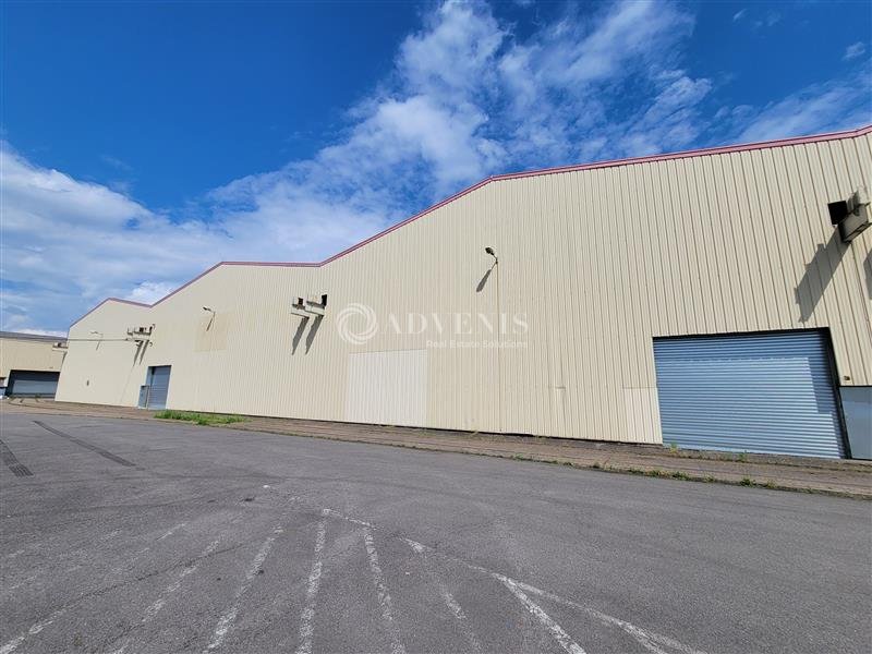 ADVENIS CONSEIL NANCY LOCATION-LOCAL D'ACTIVITE-WOIPPY-57