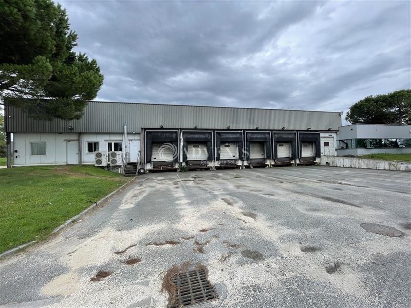 ADVENIS CONSEIL BORDEAUX LOCATION-LOCAL D'ACTIVITE-LORMONT-33