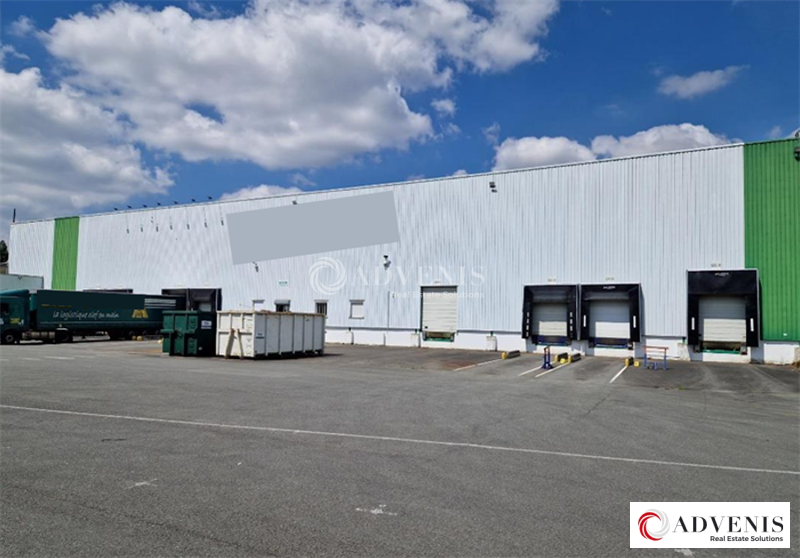 ADVENIS CONSEIL LILLE LOCATION-ENTREPOT-DOURGES-62