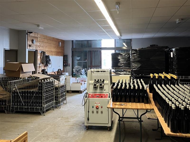 ADVENIS CONSEIL BOURGES VENTE-LOCAL COMMERCIAL-REUILLY-36