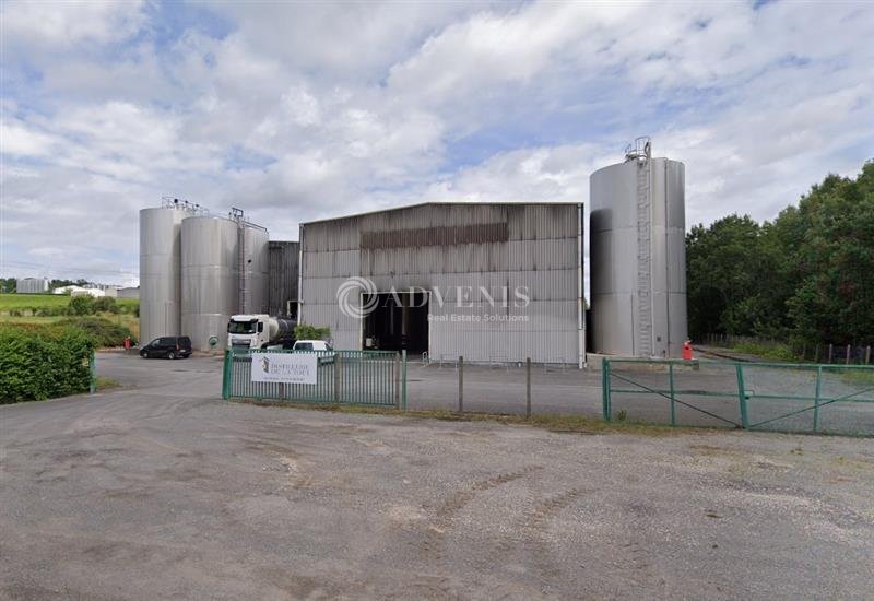 ADVENIS CONSEIL PERIGUEUX VENTE-BUREAUX-ANGEAC_CHAMPAGNE-16