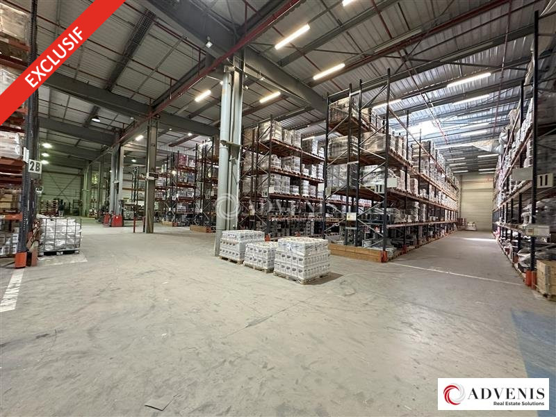 ADVENIS CONSEIL BORDEAUX LOCATION-LOCAL D'ACTIVITE-CANEJAN-33