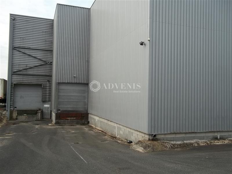 ADVENIS CONSEIL BLOIS LOCATION-LOCAL D'ACTIVITE-LE_CONTROIS_EN_SOLOGNE-41