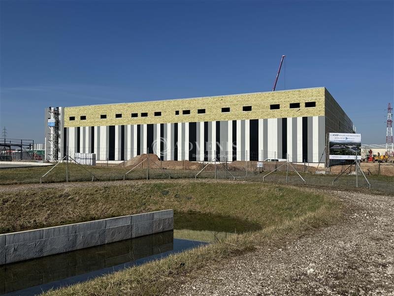 ADVENIS CONSEIL STRASBOURG LOCATION-ENTREPOT-DUPPIGHEIM-67