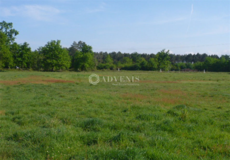 ADVENIS CONSEIL NANTES LOCATION-TERRAIN-REZE-44