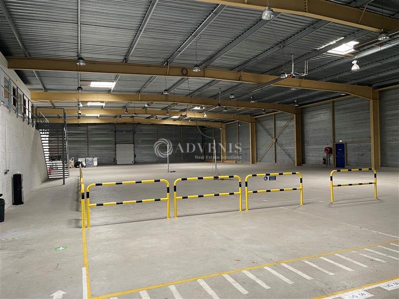 ADVENIS CONSEIL LE MANS LOCATION-LOCAL D'ACTIVITE-SABLE_SUR_SARTHE-72