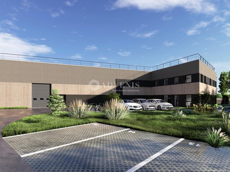 ADVENIS CONSEIL STRASBOURG VENTE-LOCAL D'ACTIVITE-HOERDT-67