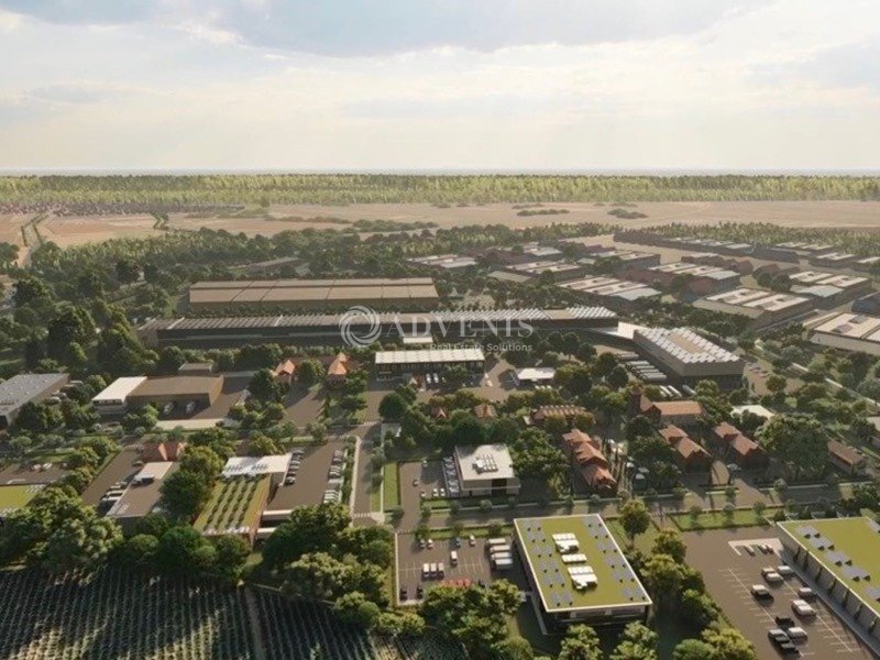 ADVENIS CONSEIL STRASBOURG VENTE-ENTREPOT-HOERDT-67