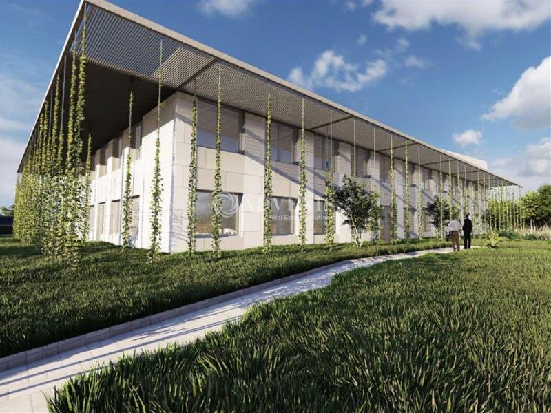 ADVENIS CONSEIL STRASBOURG LOCATION-BUREAUX-ILLKIRCH_GRAFFENSTADEN-67