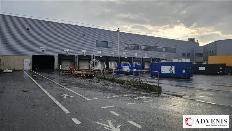 ADVENIS CONSEIL LILLE LOCATION-ENTREPOT-VILLENEUVE_D'ASCQ-59