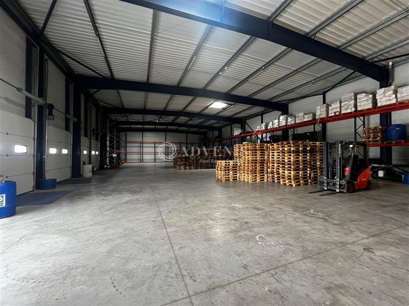 ADVENIS CONSEIL TOURS LOCATION-LOCAL D'ACTIVITE-SORIGNY-37