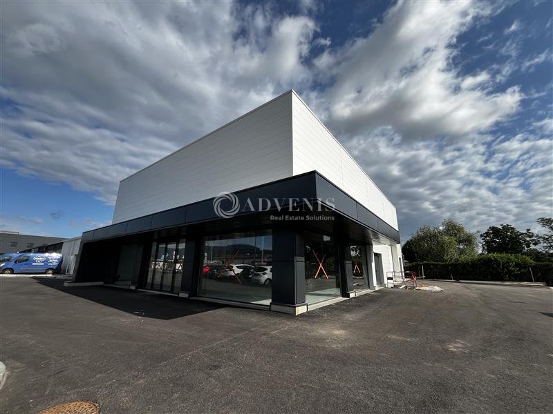 ADVENIS CONSEIL STRASBOURG LOCATION-LOCAL D'ACTIVITE-OBERNAI-67