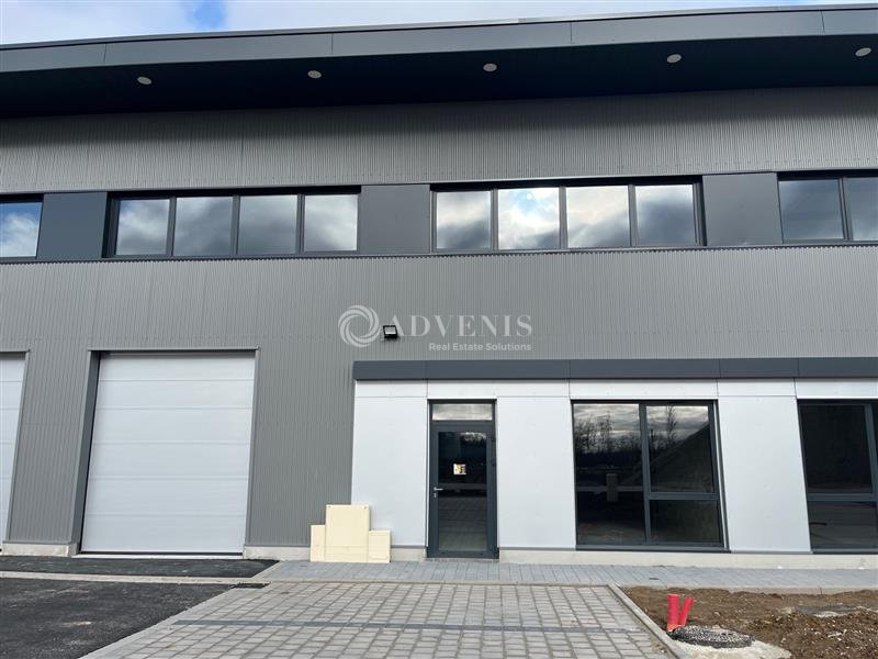 ADVENIS CONSEIL STRASBOURG LOCATION-LOCAL D'ACTIVITE-GEISPOLSHEIM-67