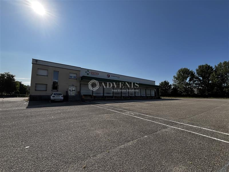 ADVENIS CONSEIL STRASBOURG LOCATION-ENTREPOT-STRASBOURG-67