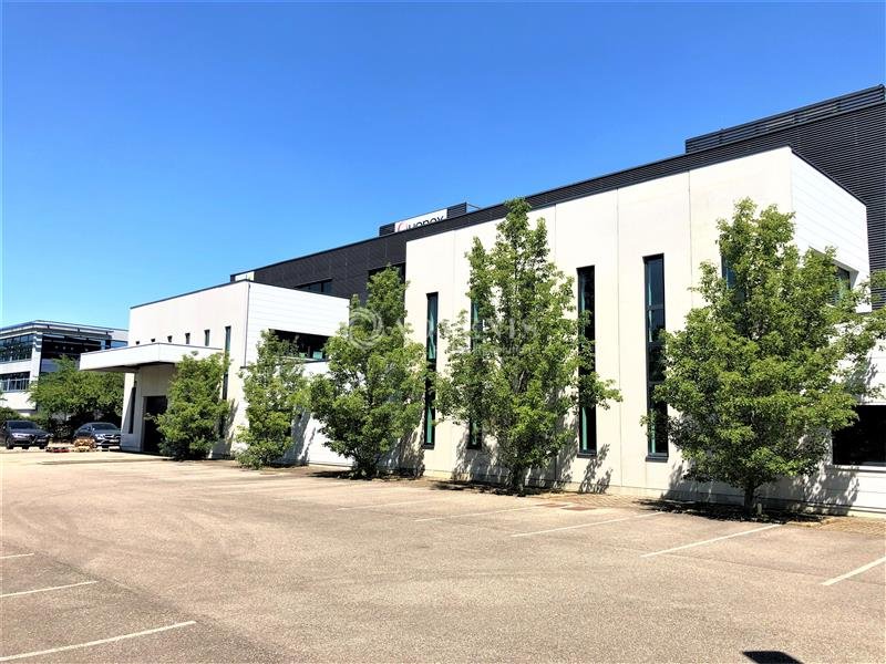 ADVENIS CONSEIL STRASBOURG LOCATION-LOCAL D'ACTIVITE-ENTZHEIM-67