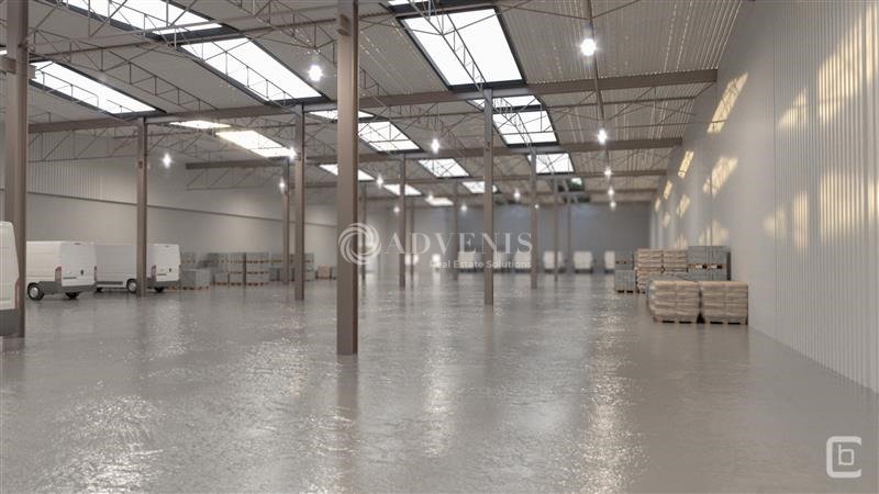ADVENIS CONSEIL TOURS LOCATION-LOCAL D'ACTIVITE-TOURS-37