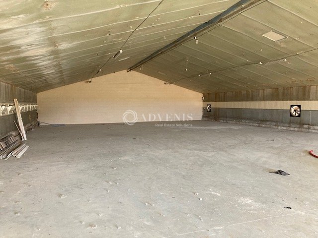 ADVENIS CONSEIL BLOIS LOCATION-ENTREPOT-FOSSE-41
