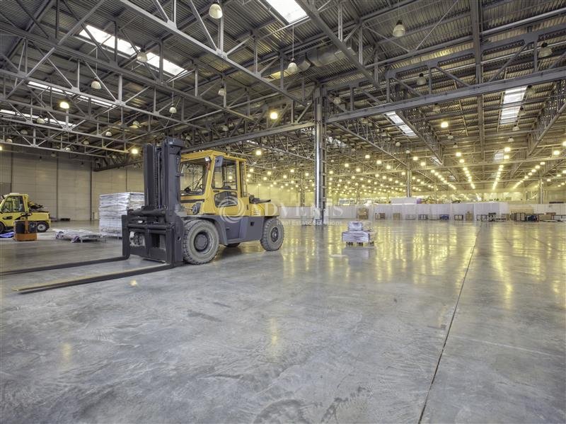 ADVENIS CONSEIL STRASBOURG LOCATION-LOCAL D'ACTIVITE-BERNOLSHEIM-67