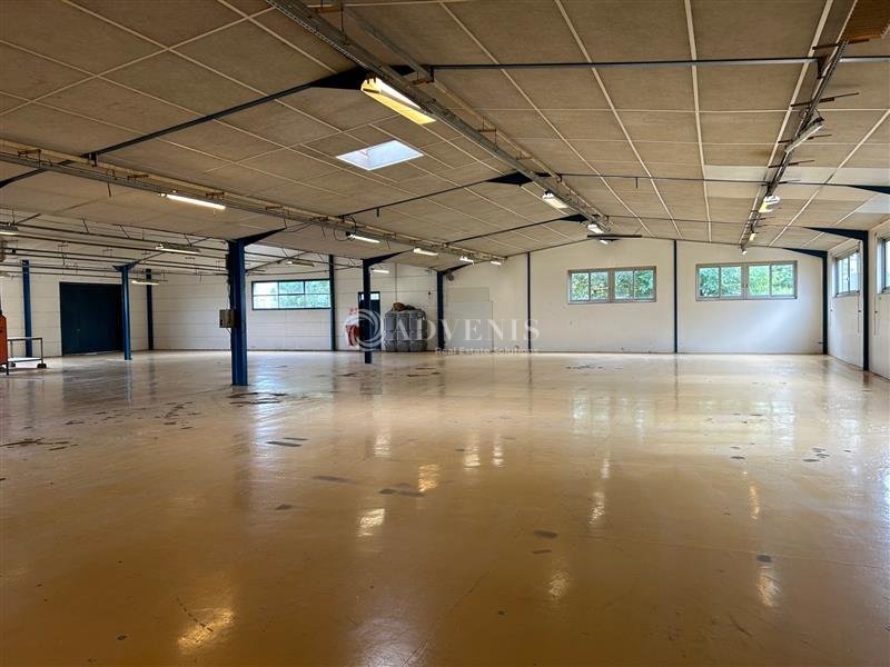 ADVENIS CONSEIL TOURS LOCATION-LOCAL D'ACTIVITE-MONNAIE-37