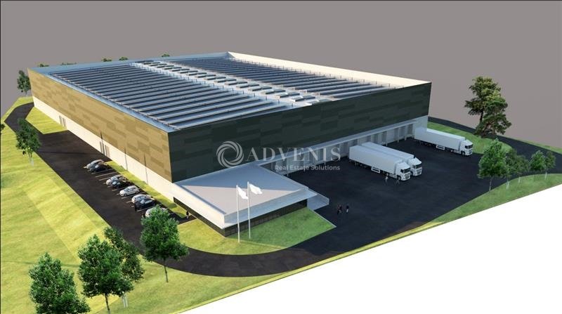 ADVENIS CONSEIL BORDEAUX LOCATION-LOCAL D'ACTIVITE-PEUJARD-33