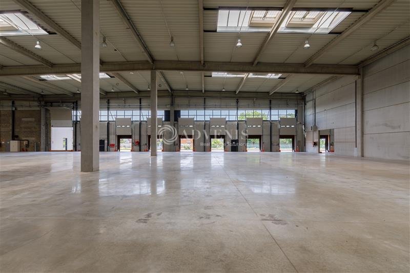 ADVENIS CONSEIL LYON LOCATION-ENTREPOT-MIRIBEL-01