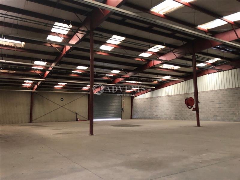 ADVENIS CONSEIL STRASBOURG VENTE-LOCAL D'ACTIVITE-ERSTEIN-67