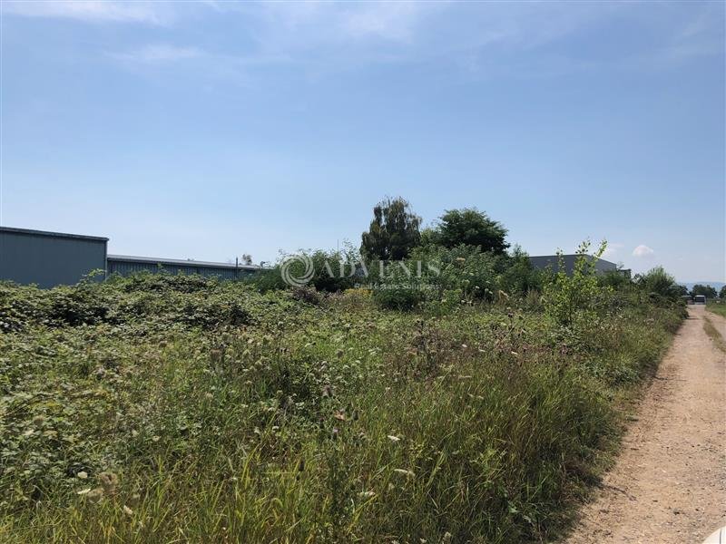 ADVENIS CONSEIL STRASBOURG LOCATION-TERRAIN-DUPPIGHEIM-67