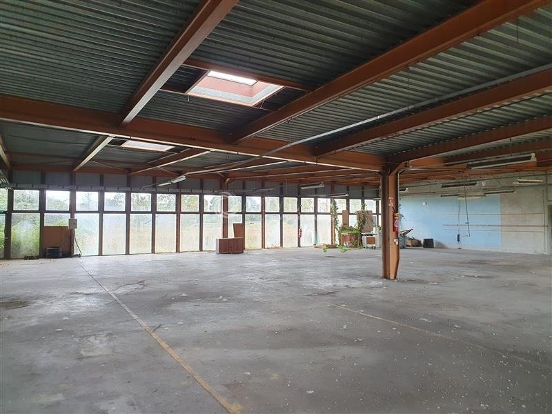 ADVENIS CONSEIL LE MANS VENTE-LOCAL D'ACTIVITE-DISSAY_SOUS_COURCILLON-72