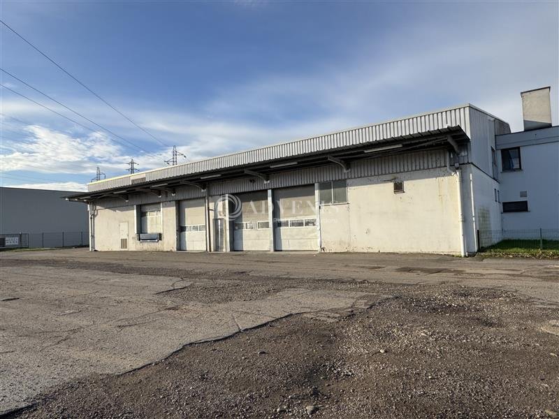 ADVENIS CONSEIL STRASBOURG LOCATION-ENTREPOT-GEISPOLSHEIM-67