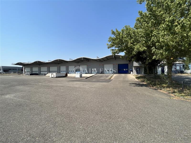 ADVENIS CONSEIL STRASBOURG VENTE-ENTREPOT-SOUFFELWEYERSHEIM-67