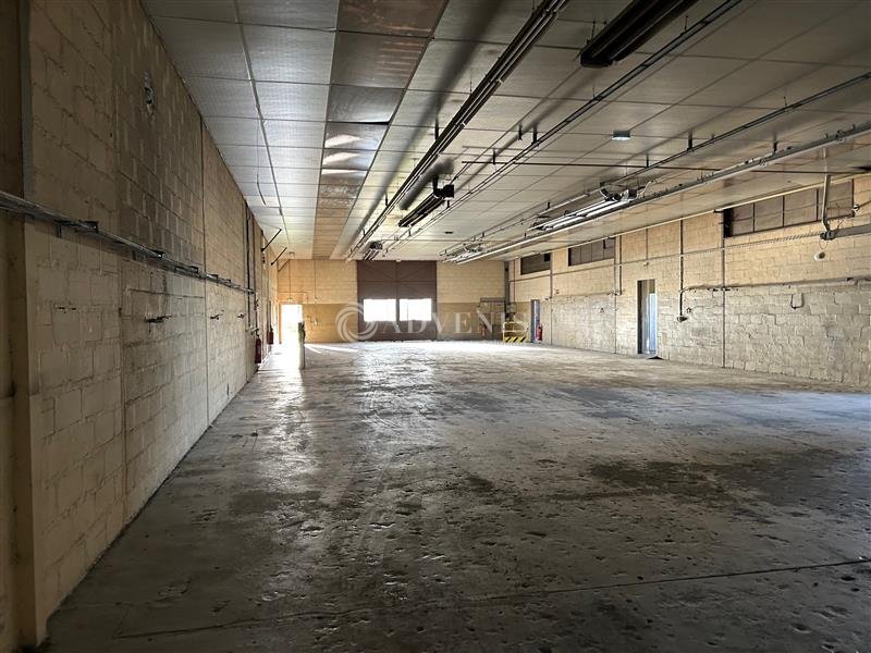 ADVENIS CONSEIL TOURS VENTE-ENTREPOT-NAZELLES_NEGRON-37