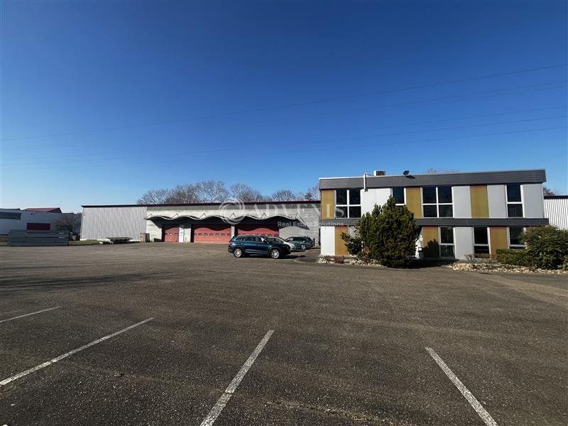 ADVENIS CONSEIL STRASBOURG VENTE-LOCAL D'ACTIVITE-DUTTLENHEIM-67