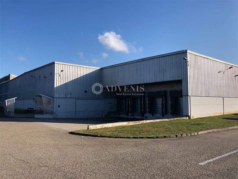 ADVENIS CONSEIL STRASBOURG VENTE-LOCAL D'ACTIVITE-ILLKIRCH_GRAFFENSTADEN-67