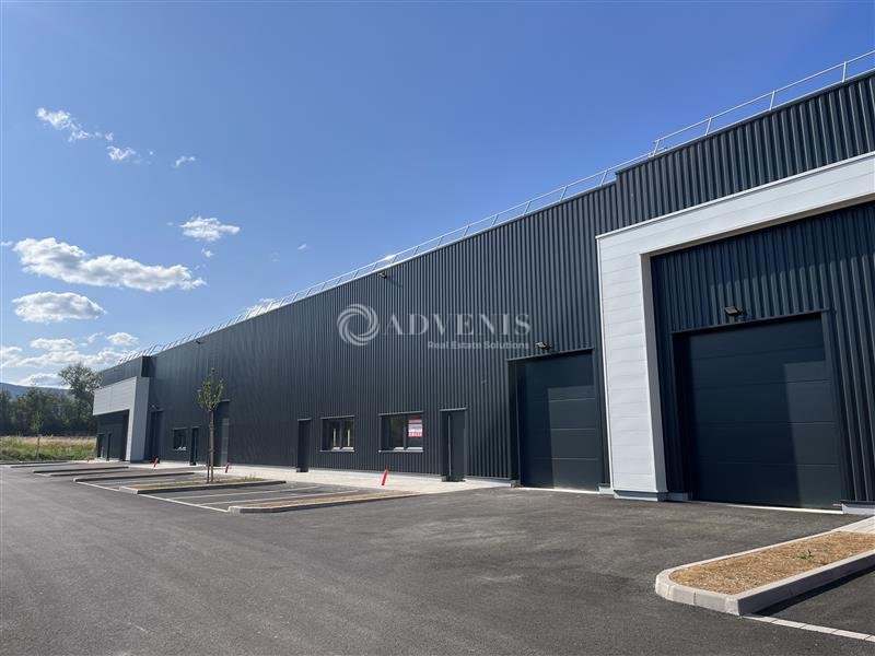 ADVENIS CONSEIL STRASBOURG VENTE-LOCAL D'ACTIVITE-GOXWILLER-67