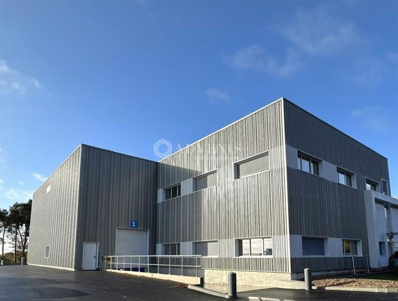 ADVENIS CONSEIL NANTES LOCATION-LOCAL D'ACTIVITE-LES_SORINIERES-44