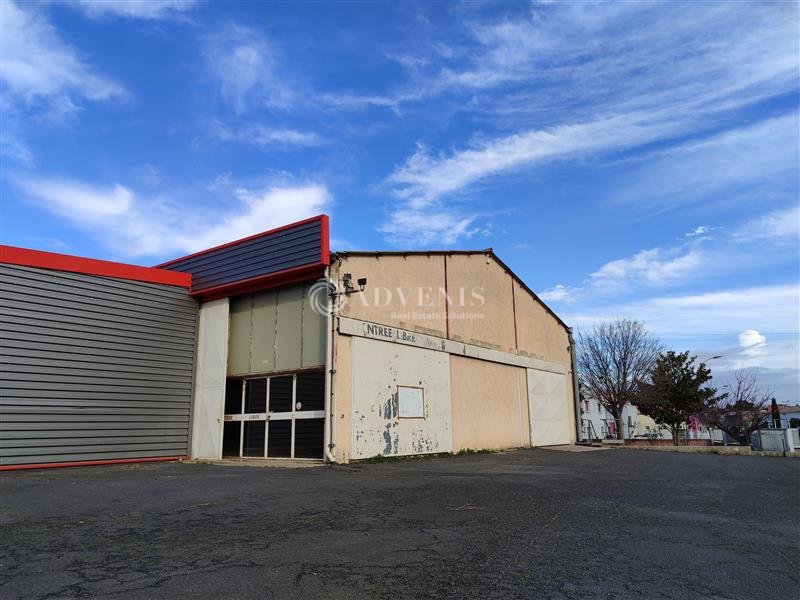 ADVENIS CONSEIL NARBONNE LOCATION-ENTREPOT-PEZENAS-34