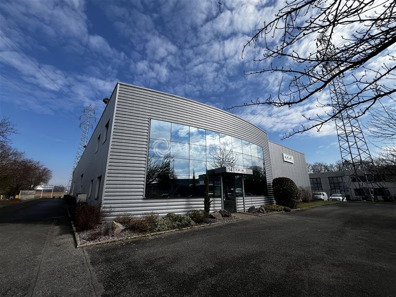 ADVENIS CONSEIL STRASBOURG LOCATION-LOCAL D'ACTIVITE-ECKBOLSHEIM-67